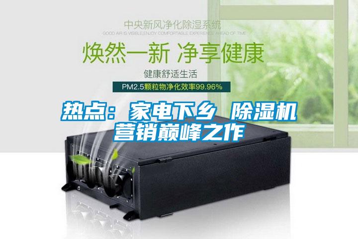 熱點(diǎn)：家電下鄉(xiāng) 除濕機(jī)營(yíng)銷(xiāo)巔峰之作