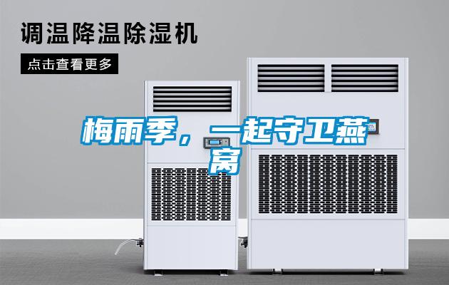 梅雨季，一起守衛(wèi)燕窩