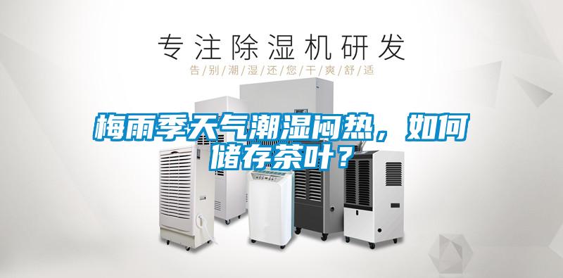 梅雨季天氣潮濕悶熱，如何儲(chǔ)存茶葉？