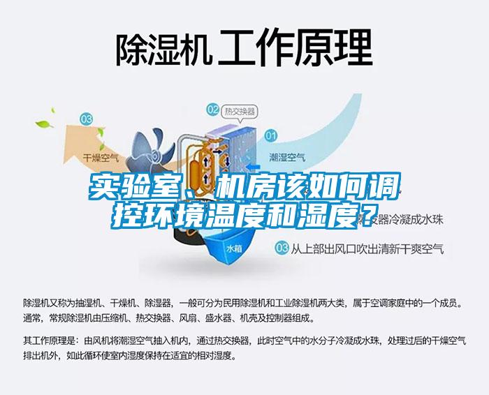 實驗室、機房該如何調(diào)控環(huán)境溫度和濕度？