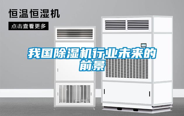 我國除濕機行業(yè)未來的前景