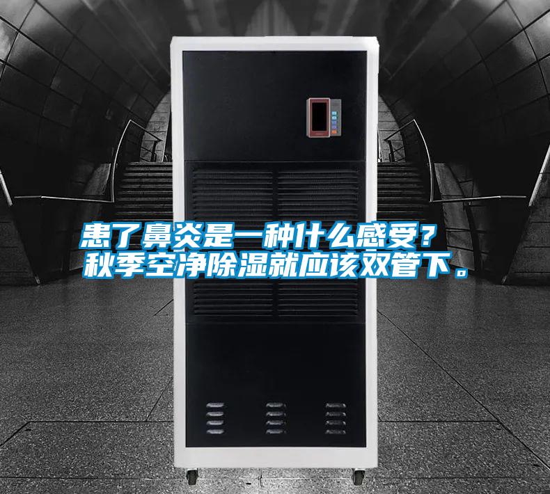 患了鼻炎是一種什么感受？ 秋季空凈除濕就應該雙管下。