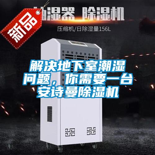 解決地下室潮濕問(wèn)題，你需要一臺(tái)安詩(shī)曼除濕機(jī)