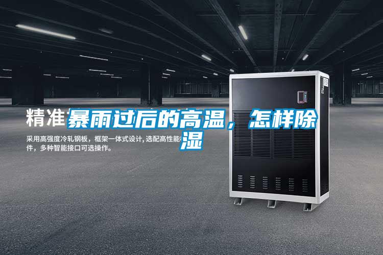 暴雨過后的高溫，怎樣除濕