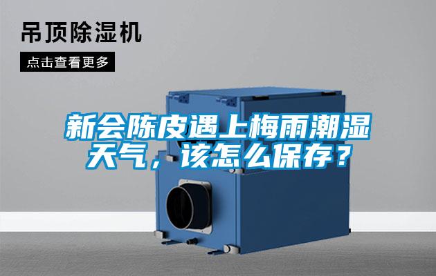 新會陳皮遇上梅雨潮濕天氣，該怎么保存？