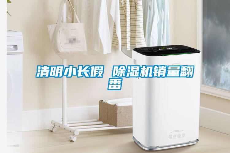清明小長假 除濕機(jī)銷量翻番