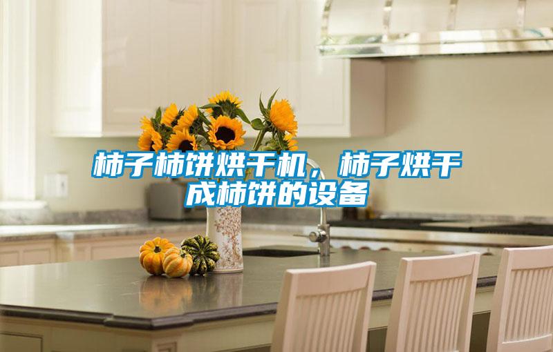 柿子柿餅烘干機，柿子烘干成柿餅的設備