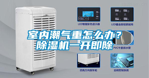 室內潮氣重怎么辦？除濕機一開即除