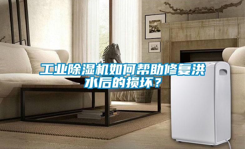 工業(yè)除濕機如何幫助修復洪水后的損壞？