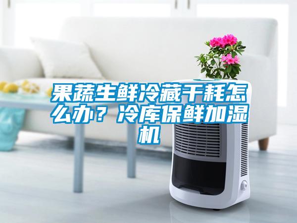 果蔬生鮮冷藏干耗怎么辦？冷庫(kù)保鮮加濕機(jī)