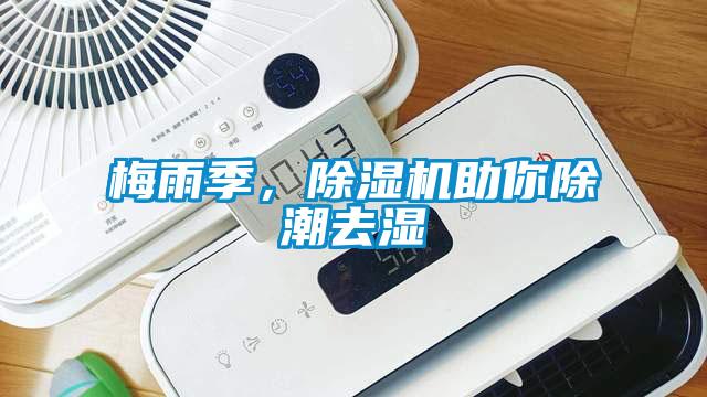 梅雨季，除濕機(jī)助你除潮去濕