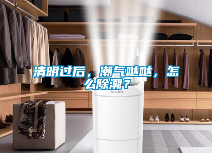 清明過后，潮氣噠噠，怎么除潮？