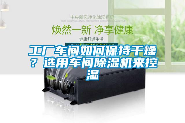工廠車間如何保持干燥？選用車間除濕機(jī)來控濕