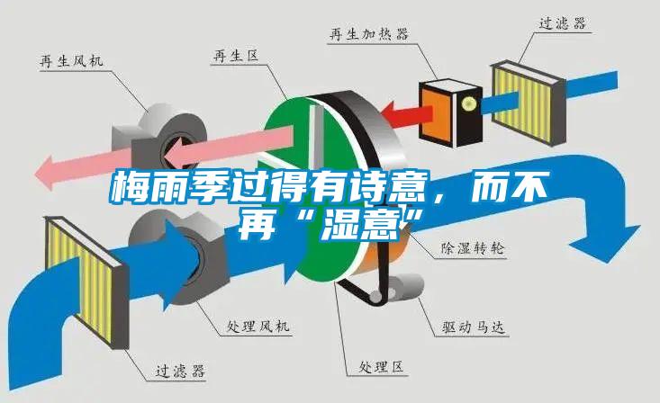 梅雨季過得有詩意，而不再“濕意”