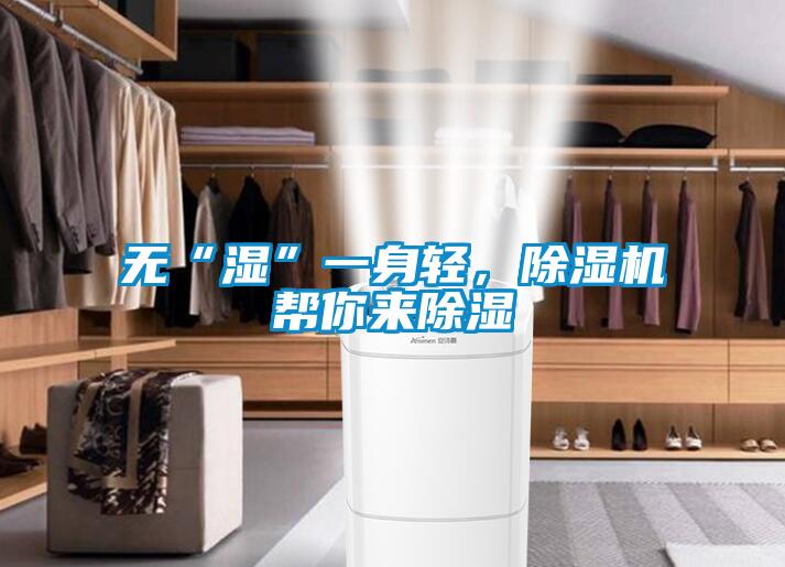 無“濕”一身輕，除濕機幫你來除濕
