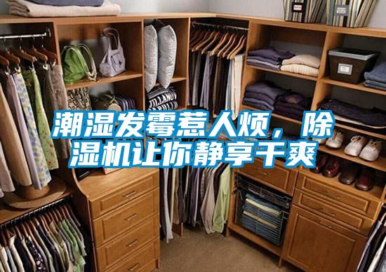 潮濕發(fā)霉惹人煩，除濕機(jī)讓你靜享干爽