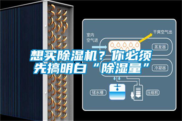 想買除濕機？你必須先搞明白“除濕量”