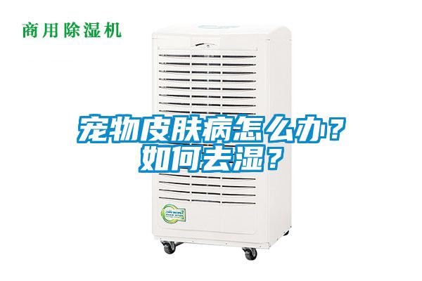 寵物皮膚病怎么辦？如何去濕？