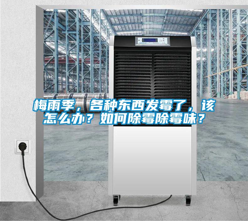 梅雨季，各種東西發(fā)霉了，該怎么辦？如何除霉除霉味？