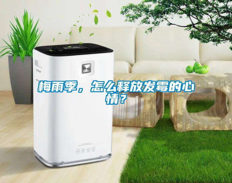 梅雨季，怎么釋放發(fā)霉的心情？