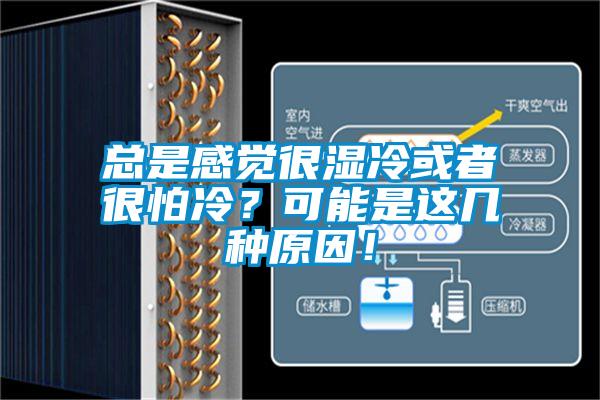 總是感覺很濕冷或者很怕冷？可能是這幾種原因！