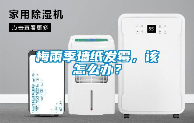 梅雨季墻紙發(fā)霉，該怎么辦？