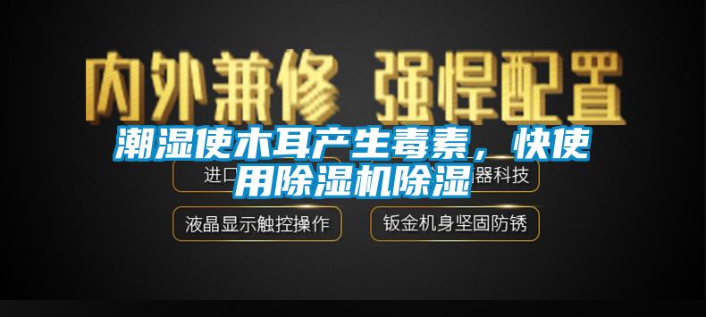 潮濕使木耳產(chǎn)生毒素，快使用除濕機除濕