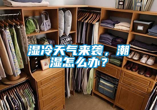 濕冷天氣來襲，潮濕怎么辦？