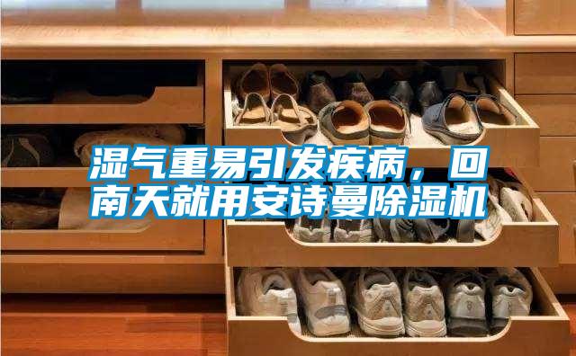濕氣重易引發(fā)疾病，回南天就用安詩曼除濕機