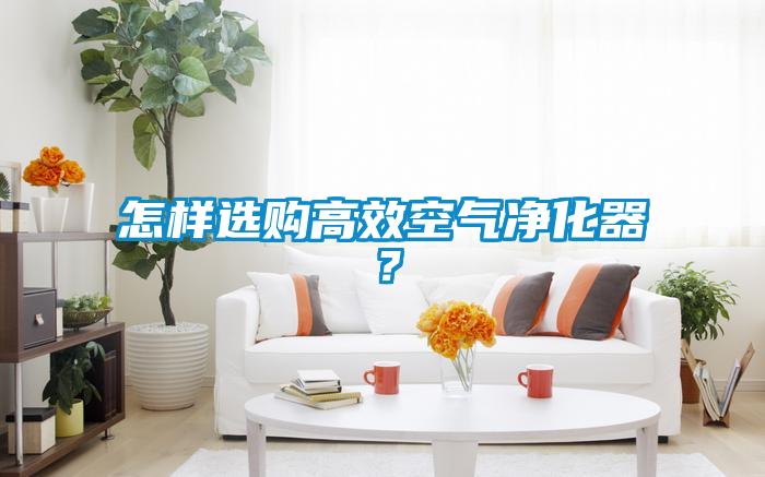 怎樣選購高效空氣凈化器？