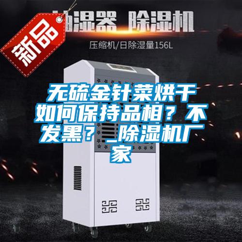 無硫金針菜烘干如何保持品相？不發(fā)黑？_除濕機(jī)廠家