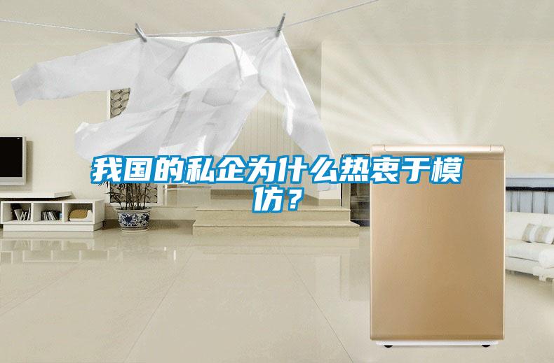 我國的私企為什么熱衷于模仿？