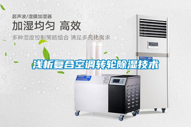 淺析復合空調(diào)轉(zhuǎn)輪除濕技術