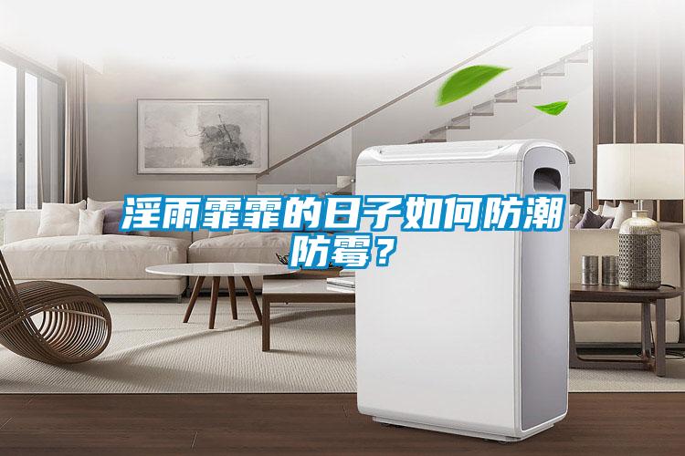 淫雨霏霏的日子如何防潮防霉？