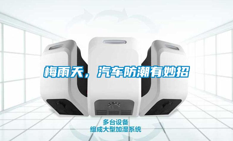 梅雨天，汽車防潮有妙招