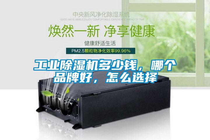 工業(yè)除濕機(jī)多少錢(qián)，哪個(gè)品牌好，怎么選擇