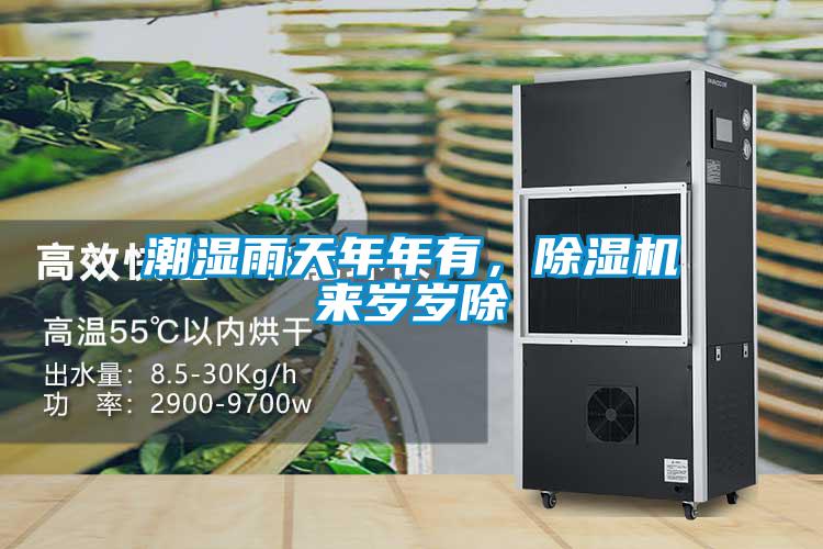 潮濕雨天年年有，除濕機(jī)來(lái)歲歲除