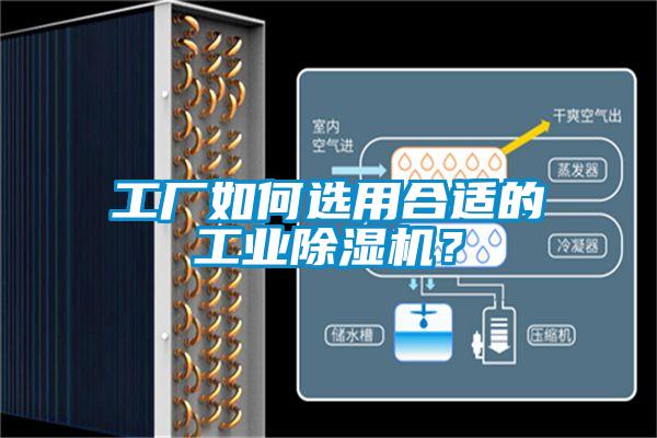 工廠如何選用合適的工業(yè)除濕機(jī)？