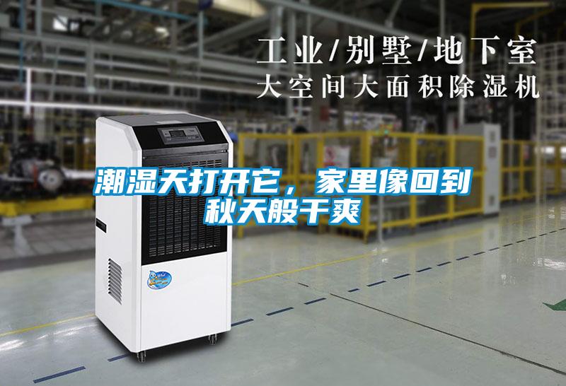 潮濕天打開它，家里像回到秋天般干爽