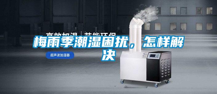 梅雨季潮濕困擾，怎樣解決