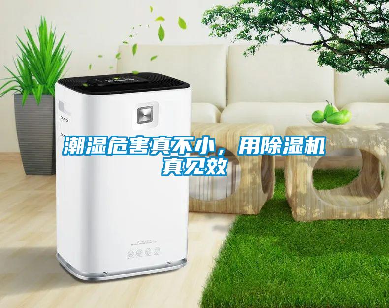 潮濕危害真不小，用除濕機真見效