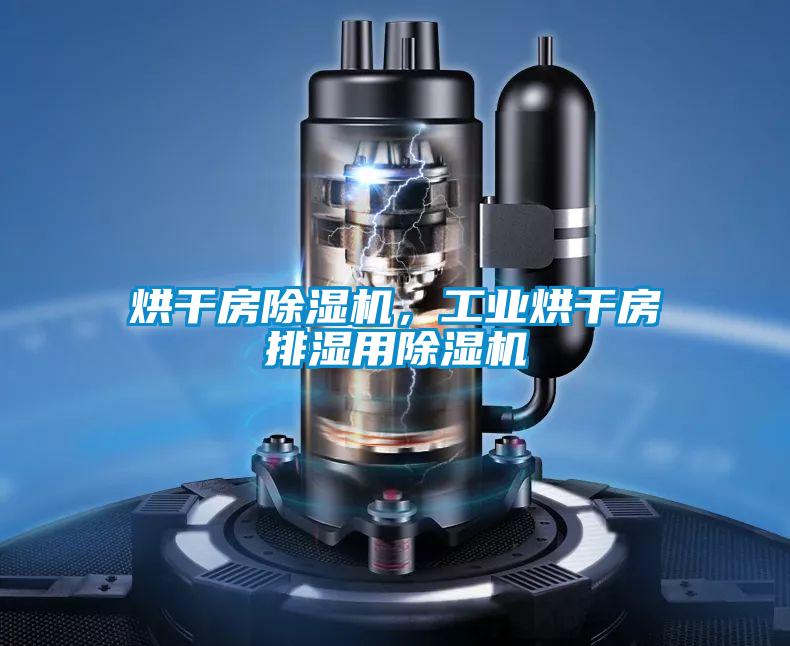 烘干房除濕機，工業(yè)烘干房排濕用除濕機