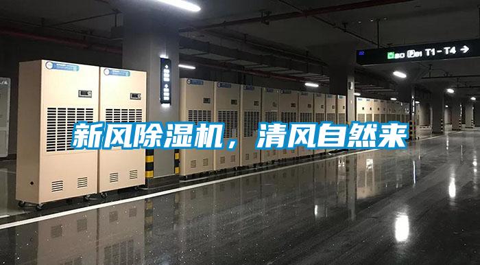 新風(fēng)除濕機，清風(fēng)自然來
