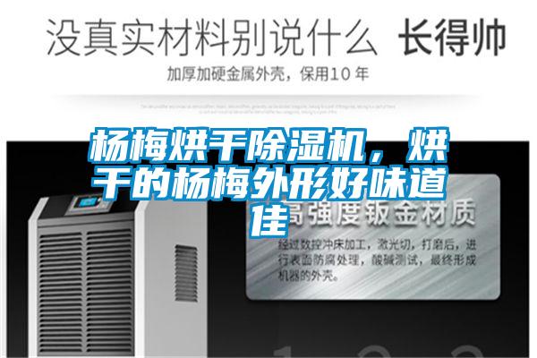 楊梅烘干除濕機，烘干的楊梅外形好味道佳
