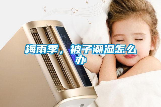 梅雨季，被子潮濕怎么辦
