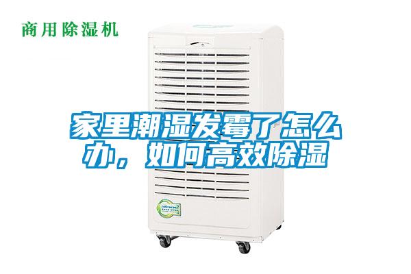家里潮濕發(fā)霉了怎么辦，如何高效除濕