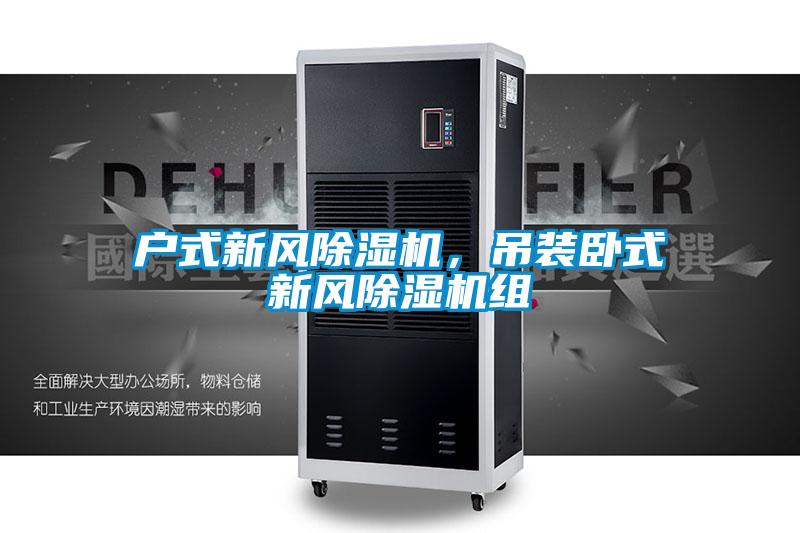 戶式新風(fēng)除濕機(jī)，吊裝臥式新風(fēng)除濕機(jī)組