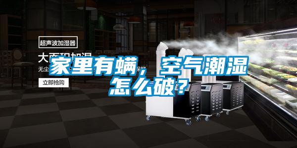 家里有螨，空氣潮濕怎么破？