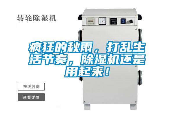 瘋狂的秋雨，打亂生活節(jié)奏，除濕機(jī)還是用起來！