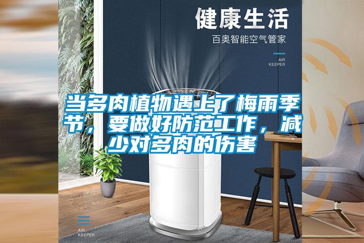 當(dāng)多肉植物遇上了梅雨季節(jié)，要做好防范工作，減少對(duì)多肉的傷害